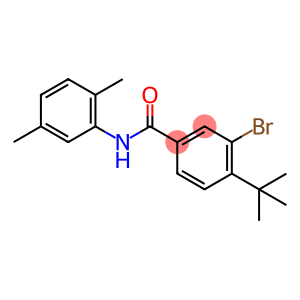 3-bromo-4-tert-butyl-N-(2,5-dimethylphenyl)benzamide