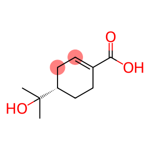 (S)-4-(1-Hydroxy-1-methylethyl)-1-cyclohexene-1-carboxylic acid