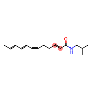 (2E,6Z,8E,10E)-N-(2-甲基丙基)-2,6,8,10-十二碳四烯酰胺