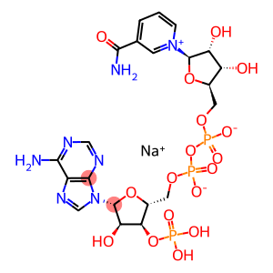 B-nicotinamide adenine dinucleotide*3-phosphate