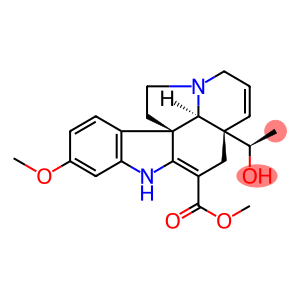 Vandrikidine