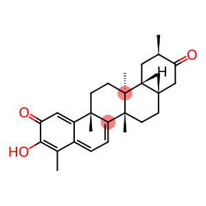 Maytenin
