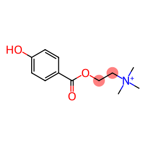 4-hydroxybenzoylcholine