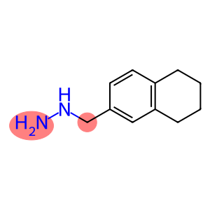 (5,6,7,8-TETRAHYDRO-NAPHTHALEN-2-YLMETHYL)-HYDRAZINE