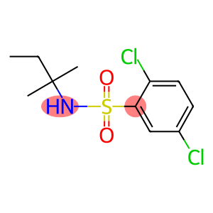 2,5-dichloro-N-(tert-pentyl)benzenesulfonamide