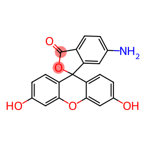 6-氨基荧光素