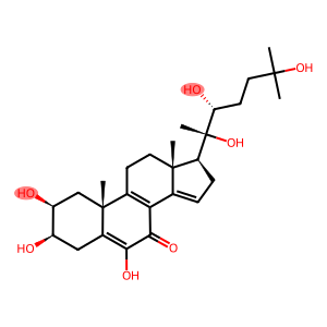 Calonysterone