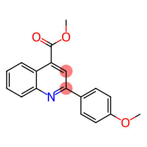 2-(4-甲氧苯基)-4-喹啉卡巴肼