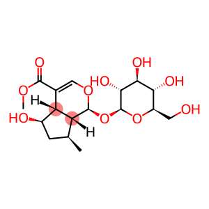 (1S)-1-(β-D-Glucopyranosyloxy)-1,4aα,5,6,7,7aα-hexahydro-5α-hydroxy-7α-methylcyclopenta[c]pyran-4-carboxylic acid methyl ester