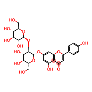 Apigenin-7-O-β-D- sophoroside