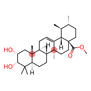 2,3-DIHYDROXY-(2ALPHA,3ALPHA)-URS-12-EN-28-OIC ACID METHYL ESTER