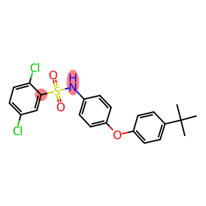 N-[4-(4-tert-butylphenoxy)phenyl]-2,5-dichlorobenzenesulfonamide