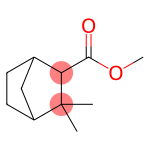 METHYL-2,2-DIMETHYLBICYCLO-(2.2.1)HEPTANE-3-CARBOXYLATE