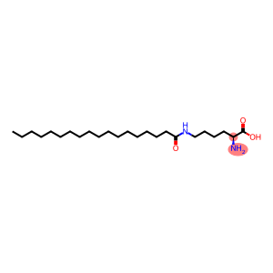 N6-(1-oxooctadecyl)-L-lysine