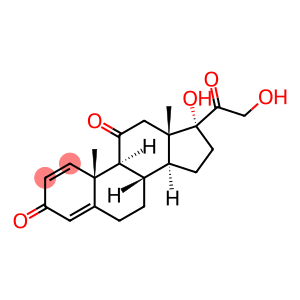 prednisone