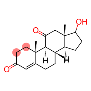 11-KETOTESTOSTERONE