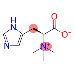 L-组氨酸甜菜碱