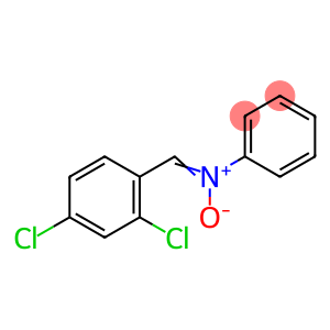 Benzenamine, N-[(2,4-dichlorophenyl)methylene]-, N-oxide
