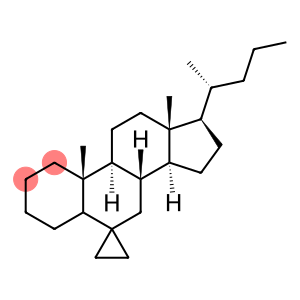 Spiro[cholane-6,1'-cyclopropane] (9CI)