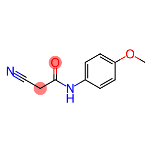 2-cyano-N-(4-methoxyphenyl)acetamide