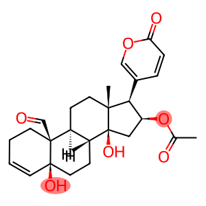 Bufa-3,20,22-trienolide, 16-(acetyloxy)-5,14-dihydroxy-19-oxo-, (5β,16β)- (9CI)