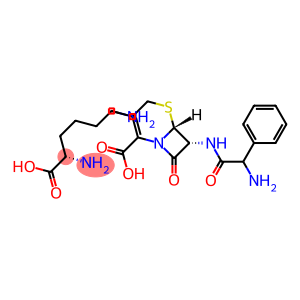 L-lysine mono[[6R-[6alpha,7beta(R*)]]-7-[(aminophenylacetyl)amino]-3-methyl-8-oxo-5-thia-1-azabicyclo[4.2.0]oct-2-ene-2-carboxylate]