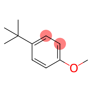 4-tert-Butylphenyl methyl ether