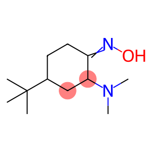 2-(Dimethylamino)-4-(1,1-dimethylethyl)-1-cyclohexanone oxime