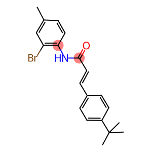 N-(2-bromo-4-methylphenyl)-3-(4-tert-butylphenyl)acrylamide