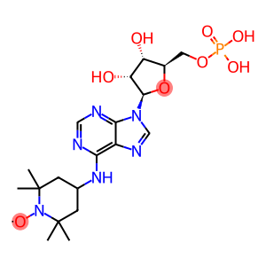 6-(2,2,6,6--tetramethylpiperidine-1-oxyl)-adenosine monophosphate