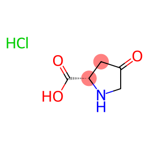 (S)-4-氧代吡咯烷-2-羧酸酯盐酸盐