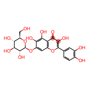 槲皮万寿菊素-7-O-Β-吡喃葡萄糖苷