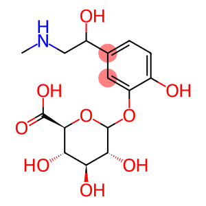 epinephrine glucuronide