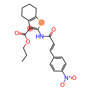 propyl 2-[(3-{4-nitrophenyl}acryloyl)amino]-4,5,6,7-tetrahydro-1-benzothiophene-3-carboxylate