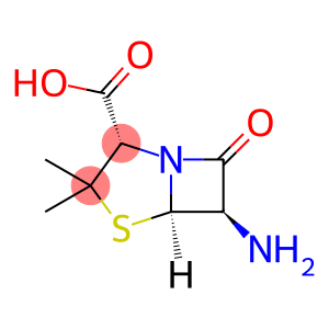 6-Aminopenicillanic acid