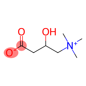 L-Carnitine