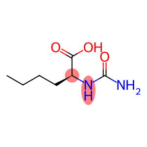 2-(carbamoylamino)hexanoic acid