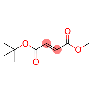 tert-Butyl methyl fumarate