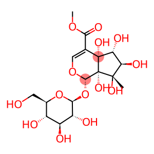 (1S)-1α-(β-D-Glucopyranosyloxy)-1,4a,5,6,7,7aα-hexahydro-4aα,5α,6α,7α-tetrahydroxy-7-methylcyclopenta[c]pyran-4-carboxylic acid methyl ester