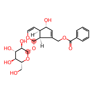 (1S)-7-[(Benzoyloxy)methyl]-1,4aα,5,7aα-tetrahydro-5α-hydroxycyclopenta[c]pyran-1-yl β-D-glucopyranoside