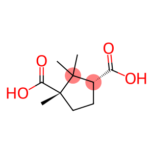 (1S,3R)-1,2,2-三甲基-1,3-环戊烷二羧酸