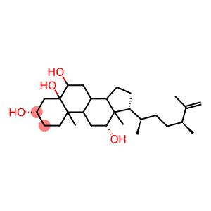 5α-Ergost-25-ene-3β,5,6β,12β-tetrol