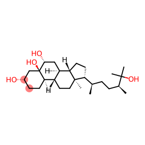 (24S)-24-Methyl-5β-cholestane-3β,5,6α,25-tetraol