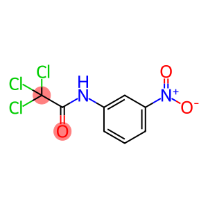 2,2,2-Trichloro-N-(3-nitrophenyl)acetamide