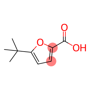 5-tert-Butyl-2-furoic acid