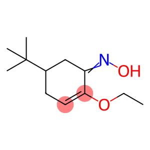 2-Cyclohexen-1-one, 5-(1,1-dimethylethyl)-2-ethoxy-, oxime