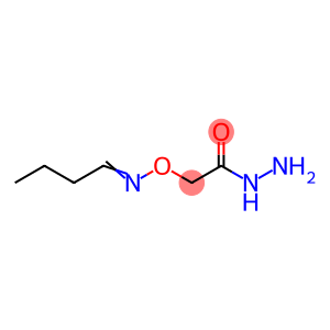 Acetic  acid,  [(butylideneamino)oxy]-,  hydrazide  (9CI)