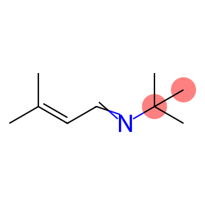 N-TERT-BUTYL-3-METHYL-2-BUTENALDIMINE