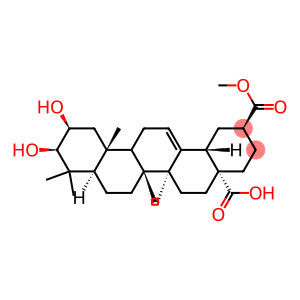 2β,3β-Dihydroxyolean-12-ene-28,30-dioic acid