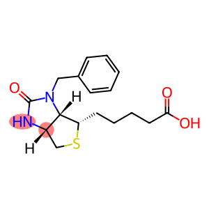 3'N-Benzyl Biotin